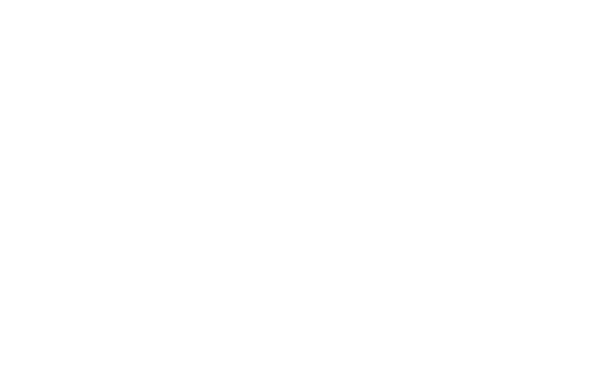 Stelleo